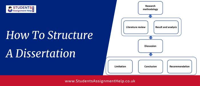 english literature dissertation structure