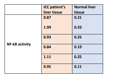 BB2804: Data Analysis, Interpretation and Presentation 