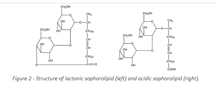 Chemical Engineering Assignment 